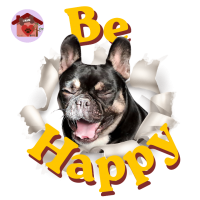 Calamita Be Happy Nalini
