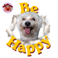 Calamita Be Happy Kobe