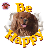 Calamita Be Happy Franz