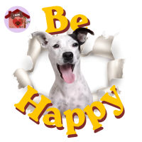Calamita Be Happy Fanny