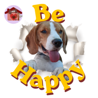 Calamita Be Happy Ciro