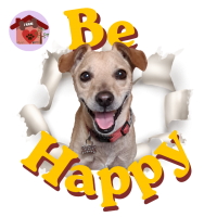 Calamita Be Happy Chip