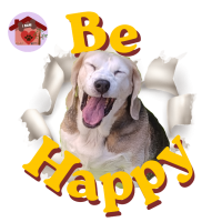 Calamita Be Happy Carlotta