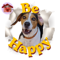 Calamita Be Happy Spooky