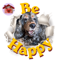 Calamita Be Happy Perla