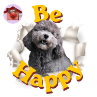 Calamita Be Happy Pepe