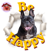 Calamita Be Happy Lea