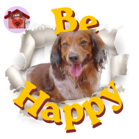 Calamita Be Happy Lancillotto