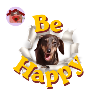 Calamita Be Happy Flink