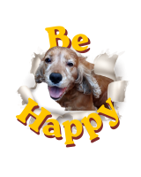 Tshirt Large Be Happy Dalì