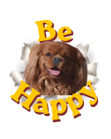 Tshirt Large Be Happy Franz