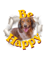Tshirt Large Be Happy Lancillotto