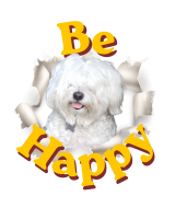 Tshirt Large Be Happy Flash