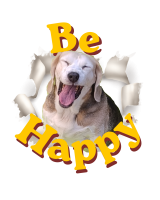 Tshirt Large Be Happy Carlotta