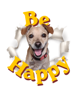 Tshirt Large Be Happy Chip