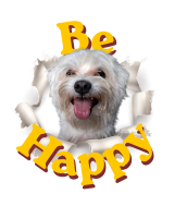 Tshirt Large Be Happy Kobe