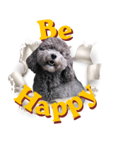Tshirt Large Be Happy Pepe