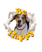 Tshirt Large Be Happy Spooky
