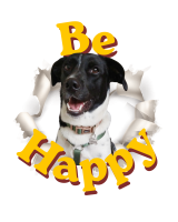 Tshirt Large Be Happy Wyke