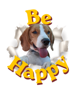 Tshirt Large Be Happy Ciro