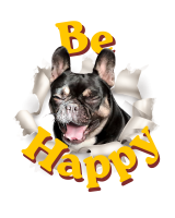 Tshirt Large Be Happy Nalini