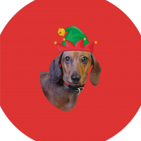 Cuscino26 Luigi