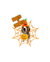 Halloween26 Ciro
