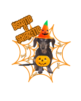 Halloween26 Flink