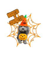 Halloween26 Pepe