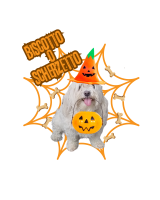 Halloween26 Flash