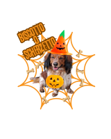 Halloween26 Lancillotto