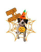 Halloween26 Spooky