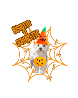 Halloween26 Kobe