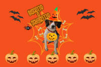 Zerbino26H Spooky