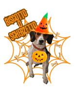 Tazza26H Spooky