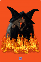 Poster metallico Witches