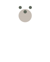 Daddy Bear white
