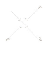 Free Orientation regular