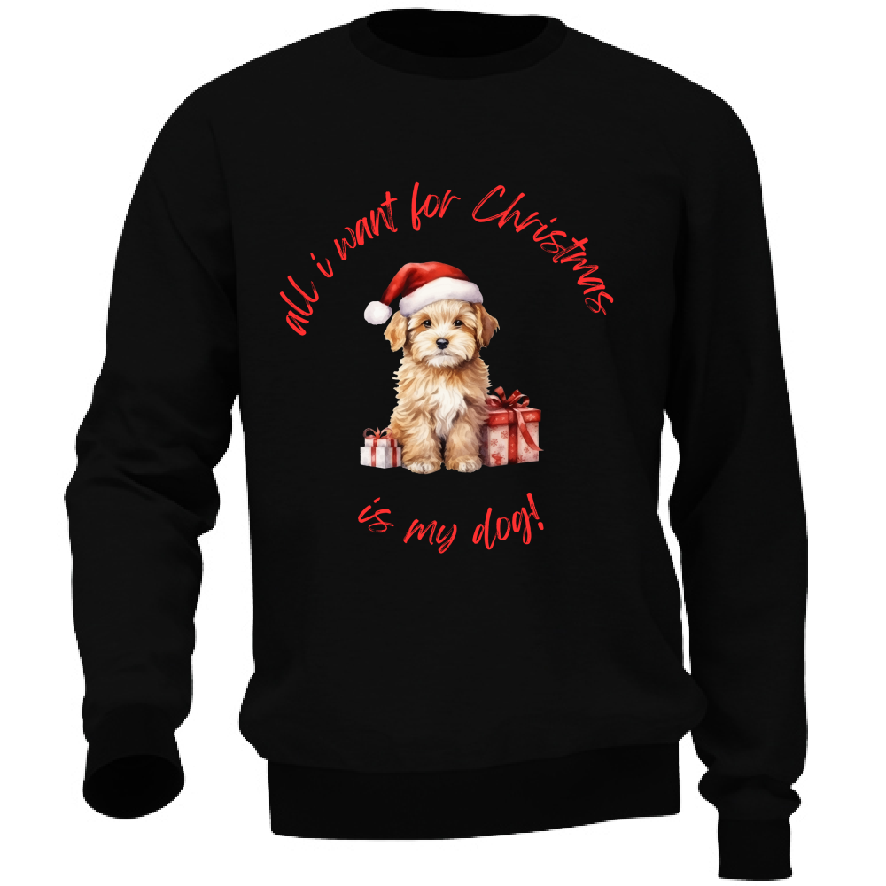 Felpa regalo