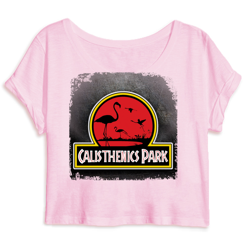 CALISTHENICS PARK il top