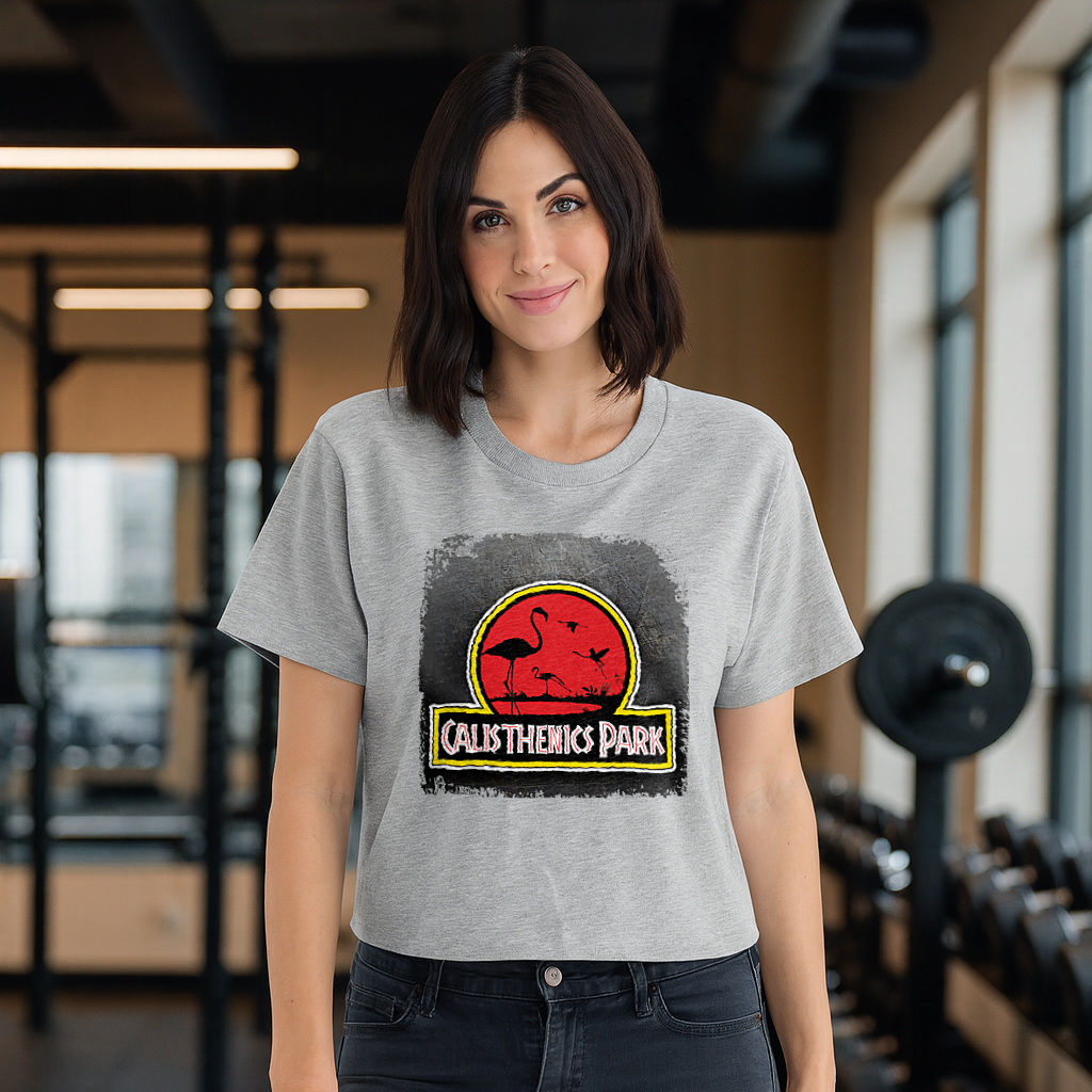 CALISTHENICS PARK il top