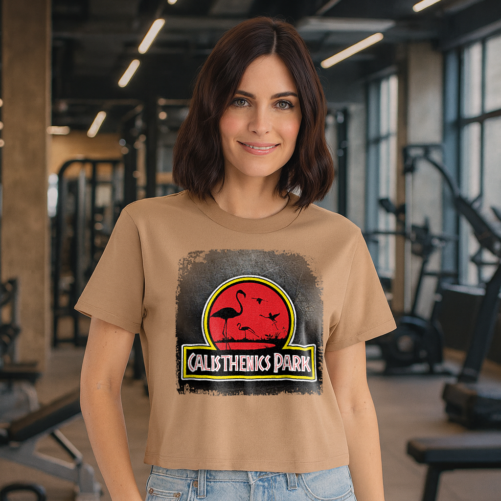 CALISTHENICS PARK il top