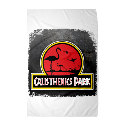 CALISTHENICS PARK il plaid