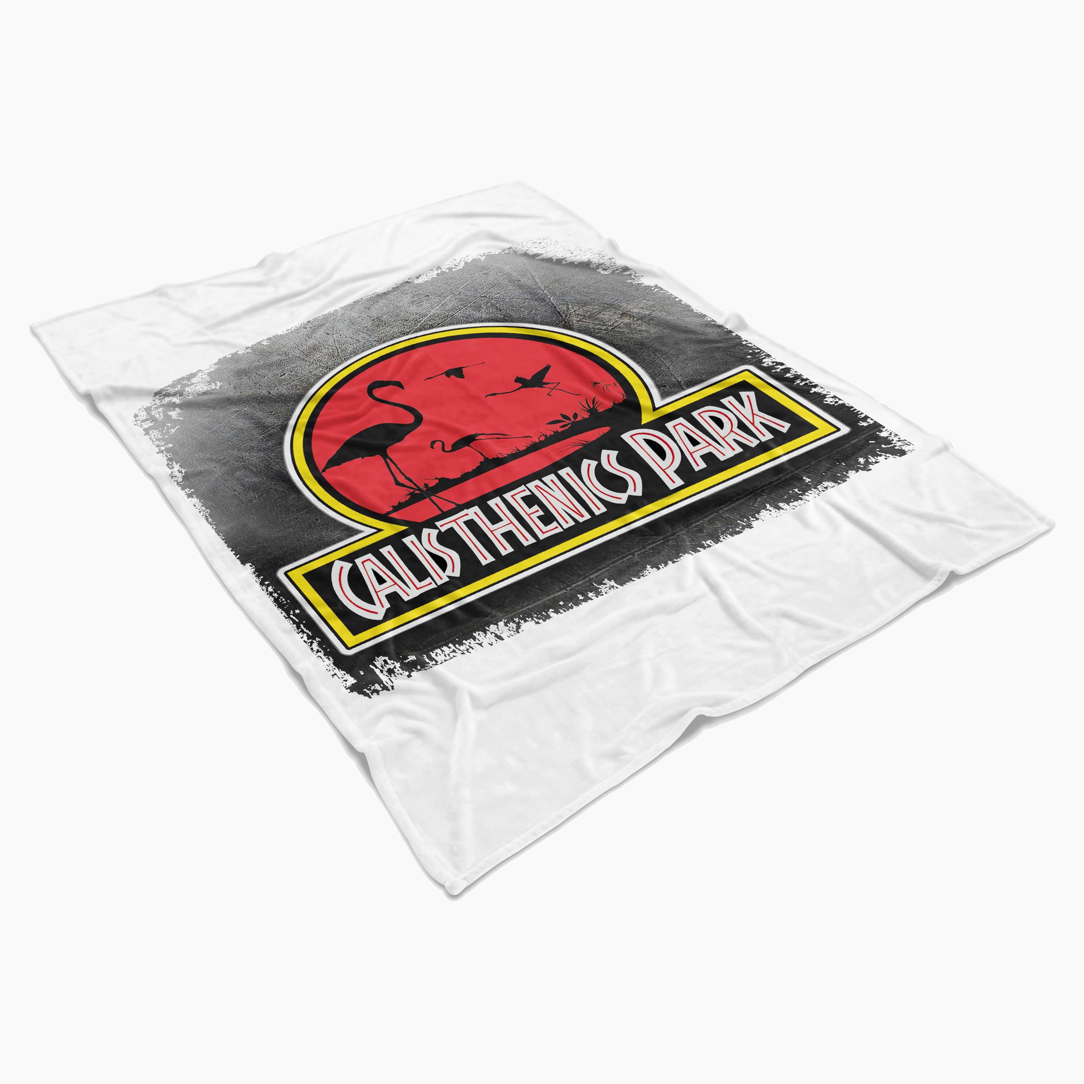 CALISTHENICS PARK il plaid