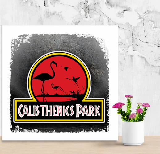 CALISTHENICS PARK il quadro