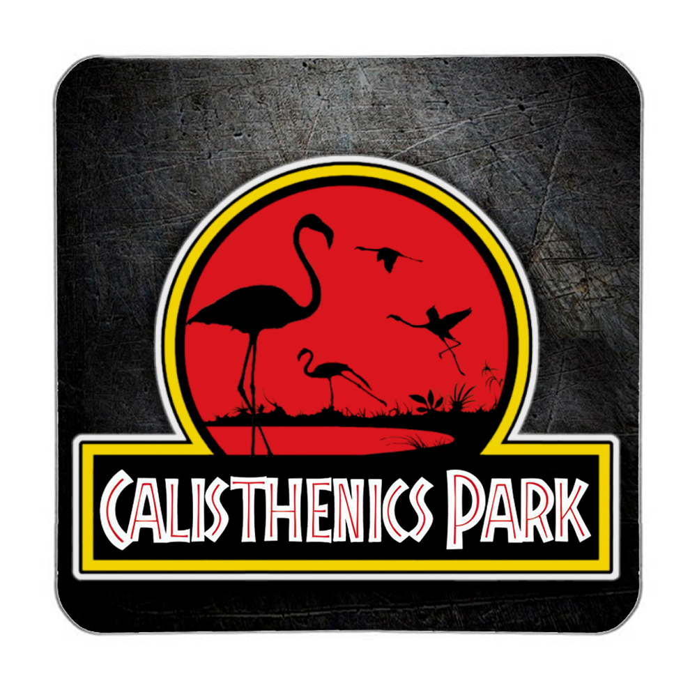 CALISTHENICS PARK il magnete
