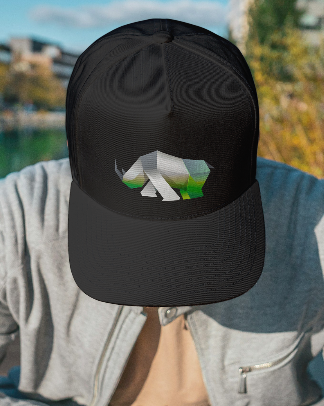 Baseball Caps