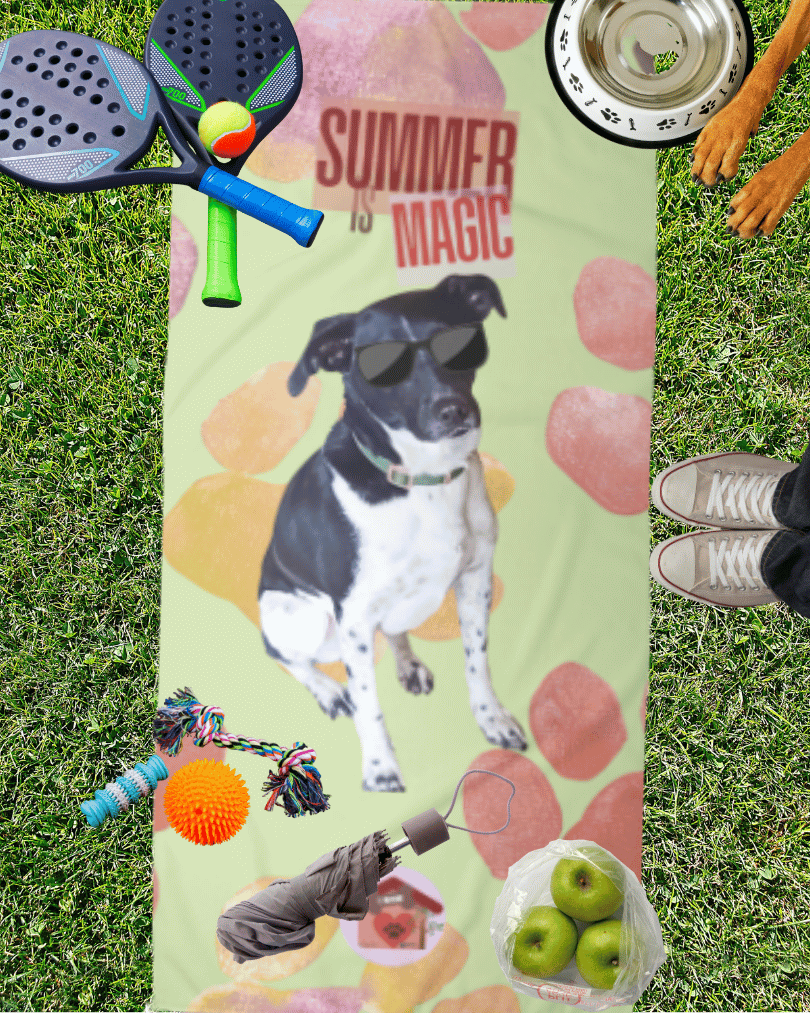 Telo Wyke Summer