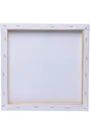 Canvas 20x20 - Image
