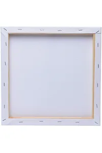 Canvas 20x20 - Image